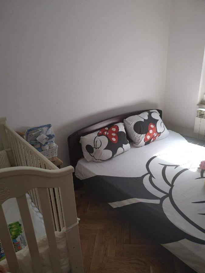 Nika Apartment 贝尔格莱德 外观 照片