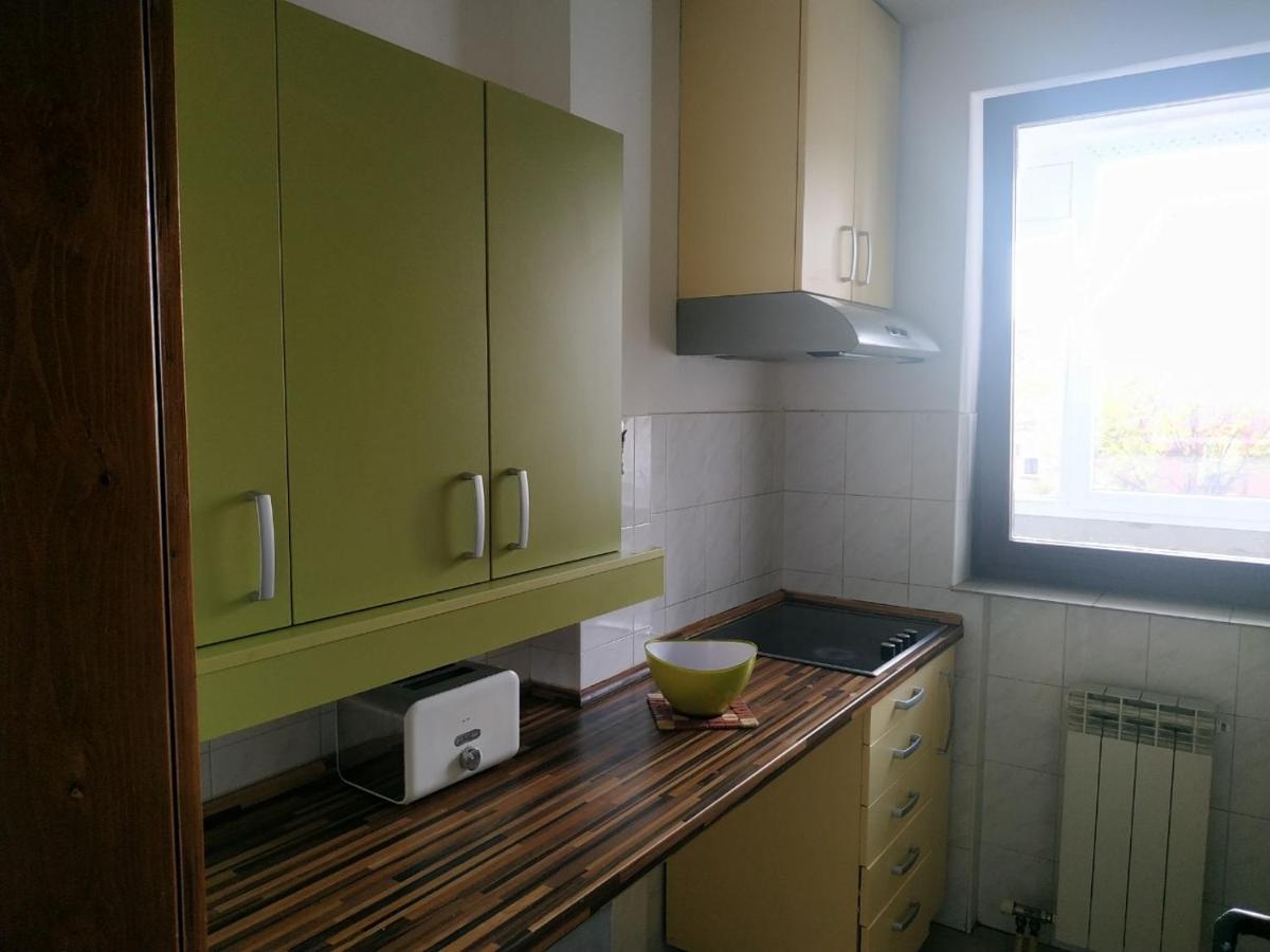 Nika Apartment 贝尔格莱德 外观 照片